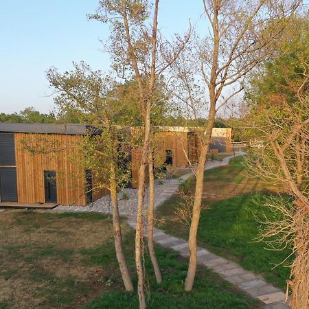 Willa Salinas Nest - Ulcinj Stoj Ada Bojana Zewnętrze zdjęcie